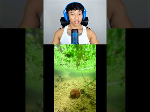 Ficou muito lindo! #ryansamuel thumbnail