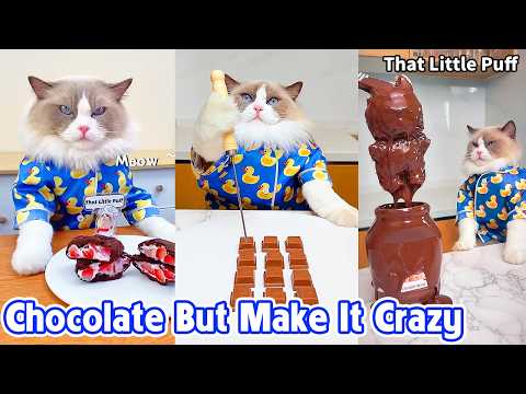 Insane Chocolate Creations 🍫 You Have to See | That Little Puff thumbnail