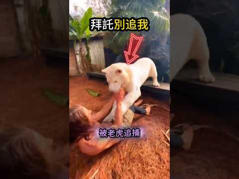 我的好朋友?各有各的好? thumbnail