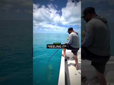 He Caught a Sea Monster! 😳🐉 thumbnail