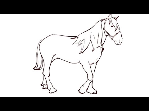 horse thumbnail