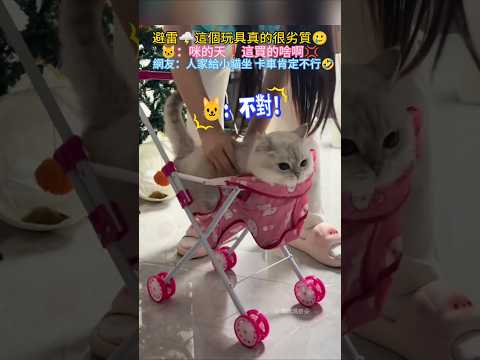 避雷🌩️這個玩具真的很脆皮🤣 🐱：咪的天❗這買的啥啊💢 網友：這是小貓咪坐的 大卡車肯定不行🤣 #cat #cute #shorts #funny #funnyshorts thumbnail