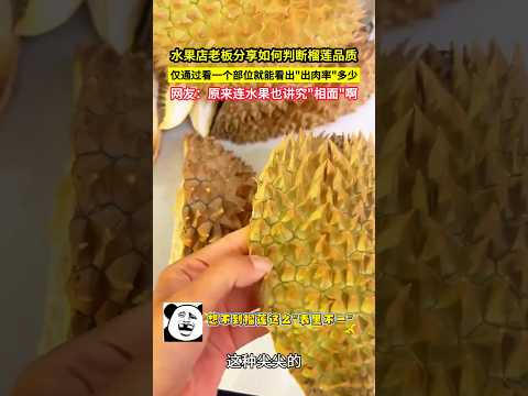 水果店老闆分享如何判斷榴蓮品質，僅通過看一個部位就能看出"出肉率"多少，網友：原來連水果也講究"相面"啊！#shorts thumbnail
