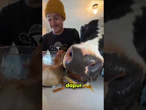 cowok ini rugi ratusan juta gara gara sapinya? #viralvideo  #shorts thumbnail