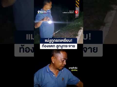 แม่งูถูกรถเหยียบ! ท้องแตก ลูกงูกระจาย thumbnail