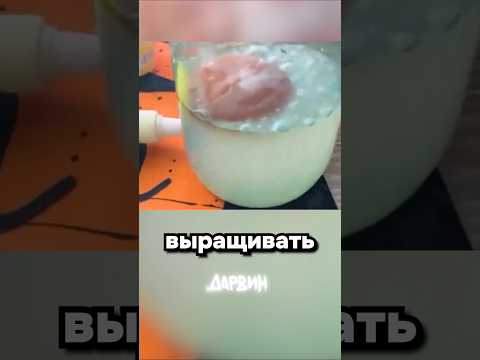 У него получилось thumbnail