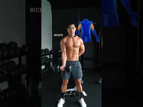 How to maximize the small muscle groups that make you look good thumbnail