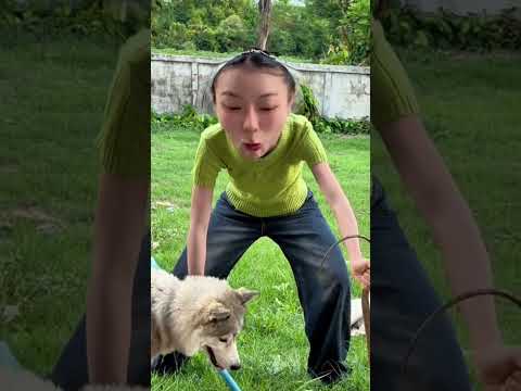 มีใครรู้ไหมว่าคือตัวอะไรคะ #funny #บักฮาโอ๊ต thumbnail