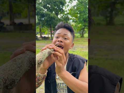 minta bagi jerukk eh kok malah di kasih mangga sii kak ardi #shorts thumbnail