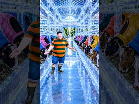 kandang SAPI BEKU biar ga ada kumannya?‼️lanang kesal thumbnail
