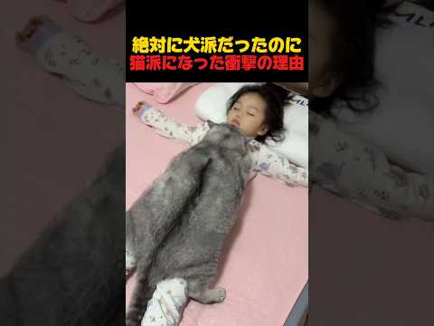 絶対に犬派だったのに…猫派になった衝撃の理由 thumbnail