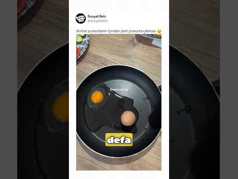 Kırılan yumurtanın içinden yeni yumurta çıkması ? thumbnail