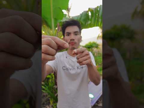 เมื่อเด็กอยากเป็นสไปเดอร์แมน | Spider boy thumbnail