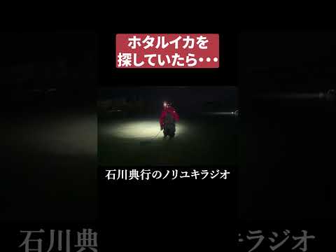 ホタルイカを探してたら・・・ #富山 thumbnail