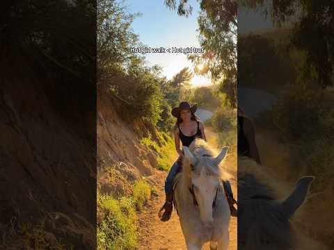 Hot girl walk more like hot girl trot 🐎 #horse #equestrian #westernriding thumbnail