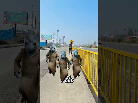 Tôi bắt được rồi nhé thumbnail