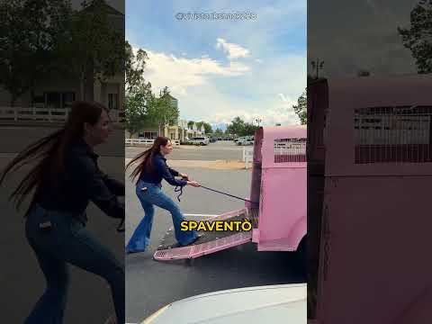Cosa si cela in questa baita rosa? thumbnail
