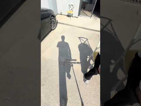 ДОВЕЛИ | TikTok: dauka2201 thumbnail