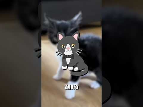 EMOJI MIX DE GATINHO! 🐱 ➕ ❓ thumbnail