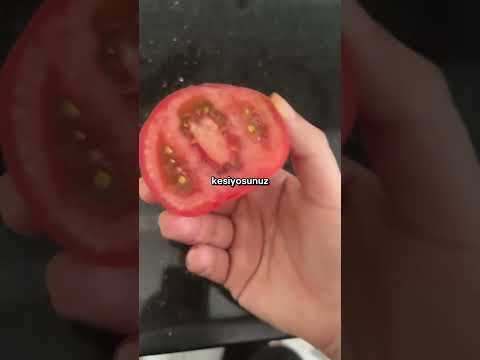 Hayat hilesi 1 thumbnail