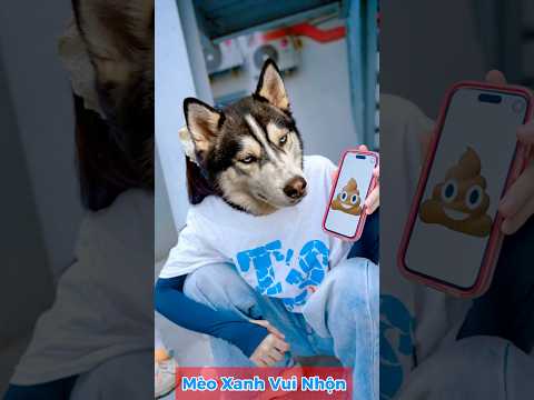 Tôi biến thành ... để ăn ... ??? #bluecat #ohnoteam #cosplay #parody thumbnail