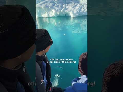 Nothing Could Ever Prepare You for Antarctica | The Dodo thumbnail