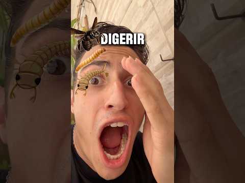Qual inseto vai cortar a planta carnívora e escapar?!😱 #shorts thumbnail