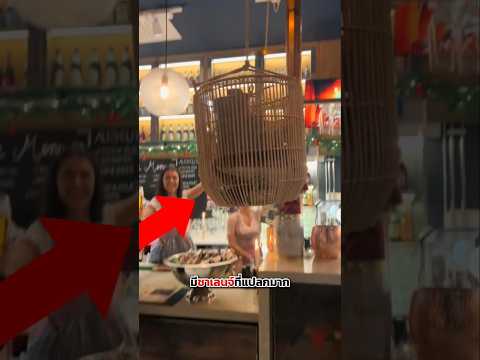 ชาเลนจ์สุดแปลกของร้านเหล้า 🤯🍺 thumbnail