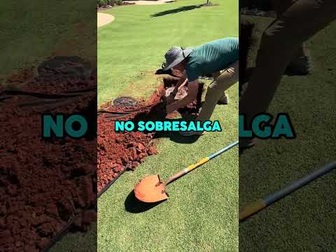 OBRA GRANDE para EVITAR CHOCAR 🌿😱 #shorts #agricultura #ingenieria #wow #curiosidades thumbnail