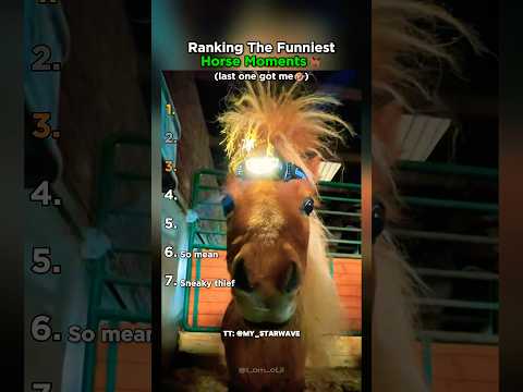 Ranking The Most Chaotic Horse Moments #horses #funny #ranked thumbnail