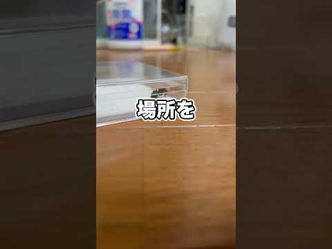 拾ってきた女王アリが卵産んでるんだけど！？！？！？！？！？！？ thumbnail
