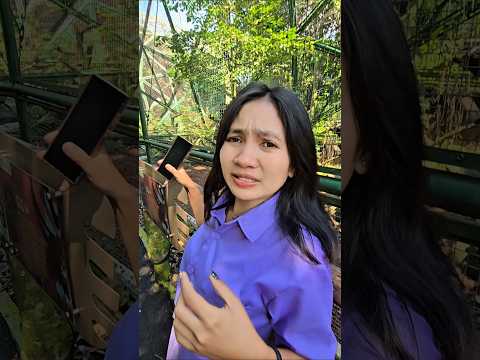 burung meraknya kabur gays #trandingshorts thumbnail