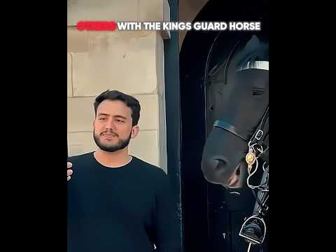 OTHERS WITH THE KINGS GUARD HORSE #shorts thumbnail