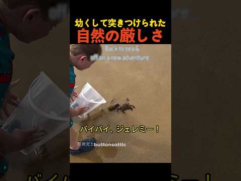 幼くして突きつけられた自然の厳しさ thumbnail