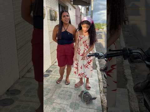 A tartaruga #viralvideo #youtubeshorts #viral #video #funny #shorts #short #shortvideo thumbnail