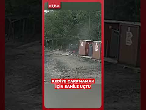 Kediye çarpmamak için manevra yapan araç sahile uçtu #shorts #kedi #kaza thumbnail