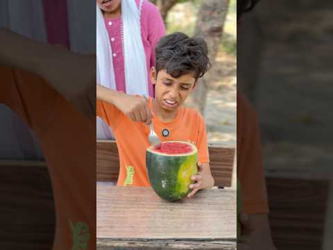 Aarya Ne Watermelon Chiku Ko Diya Tabhi ? #shorts #ytshorts #viralvideos #watermelon thumbnail