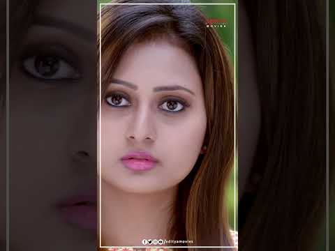 #ChiranjeeviSarja #Amulya #Koharam #Shorts #ShortsFeed #YTShorts #ViralShorts #AdityaMovies thumbnail