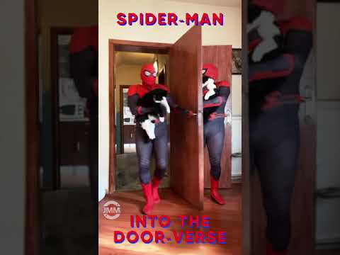 Spider-Man into the Door-Verse #shorts thumbnail