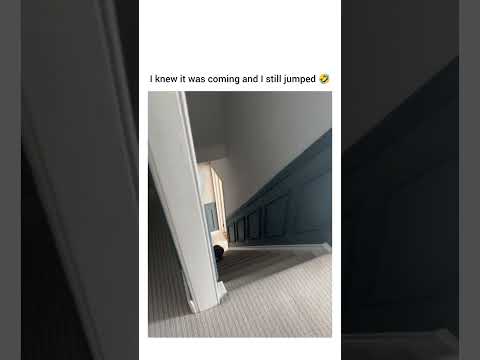 Me hiding in the comments thumbnail
