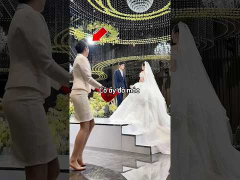 Cô gái mắc sai lầm lớn trong đám cưới khiến bản thân suýt bị sa thải ? thumbnail