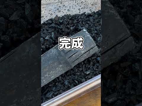ダニみたいな生き物を部屋にまき散らかしてしまいました… thumbnail