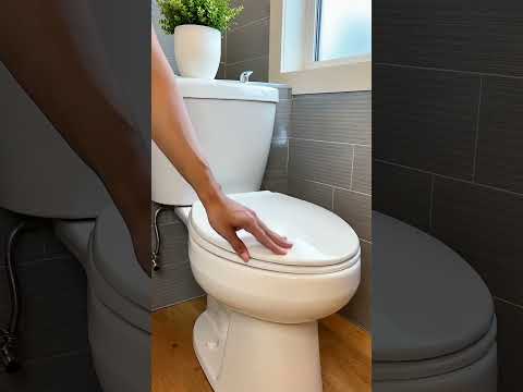 Sion Princess Turns Into a Toilet?! thumbnail
