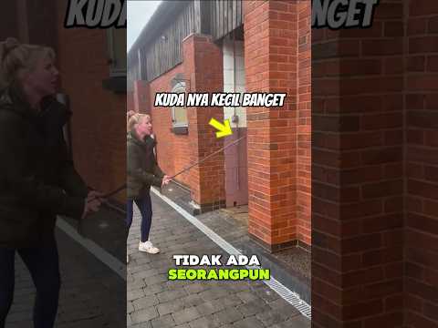SEMUA ORANG KIRA gadis ini BOHONG 😱🐴”#shortvideo thumbnail