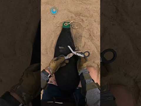 Death by Fast Fashion: Seal Rescue #shorts thumbnail