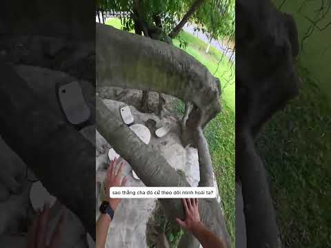kẻ tổn thương lại muốn tổn thương người khác thumbnail