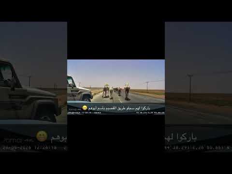 تعليقكم ؟ #explore #shorts thumbnail