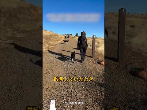 リードがいらない理由 thumbnail