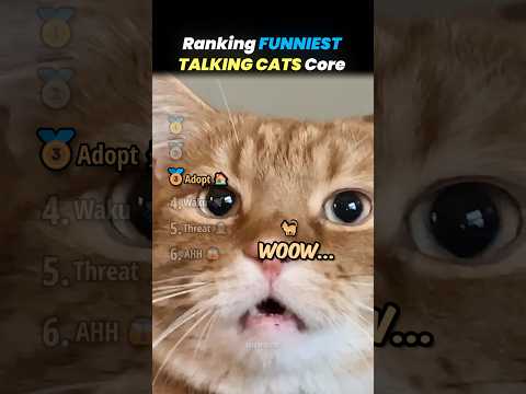 Ranking FUNNIEST TALKING CATS Core Moments!! 🐱🗣️ thumbnail