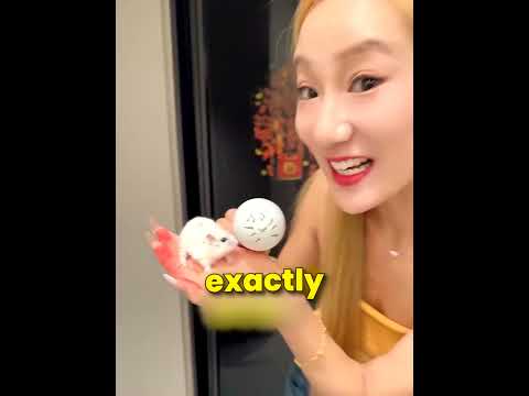 Hamster blender prank GONE WRONG ? #shorts #funny #couples thumbnail